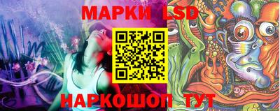 стаф Каменск-Шахтинский