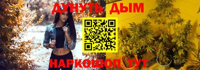 спиды Бийск